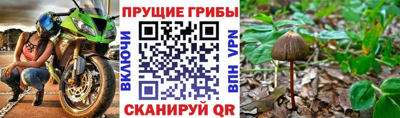 Псилоцибиновые грибы мухоморы  Белый 